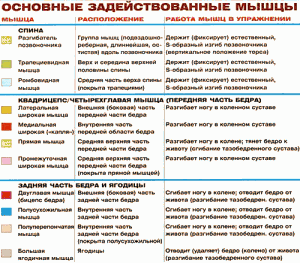 Становая тяга, техника становой тяги, фото культуризм для начинающих ...